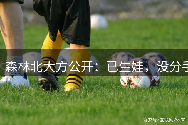 森林北大方公开：已生娃，没分手...